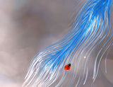 The blue lightning... Poster och Canvastavla