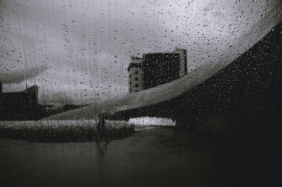 rain Poster och Canvastavla