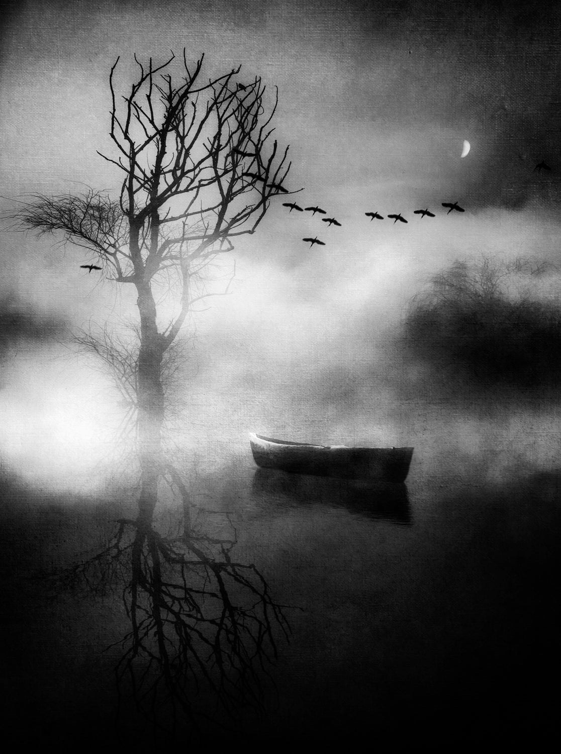 As if in a dream... Poster och Canvastavla