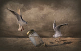 Some water Poster och Canvastavla
