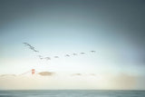 Morning low fog in Golden Gate Bridge Poster och Canvastavla