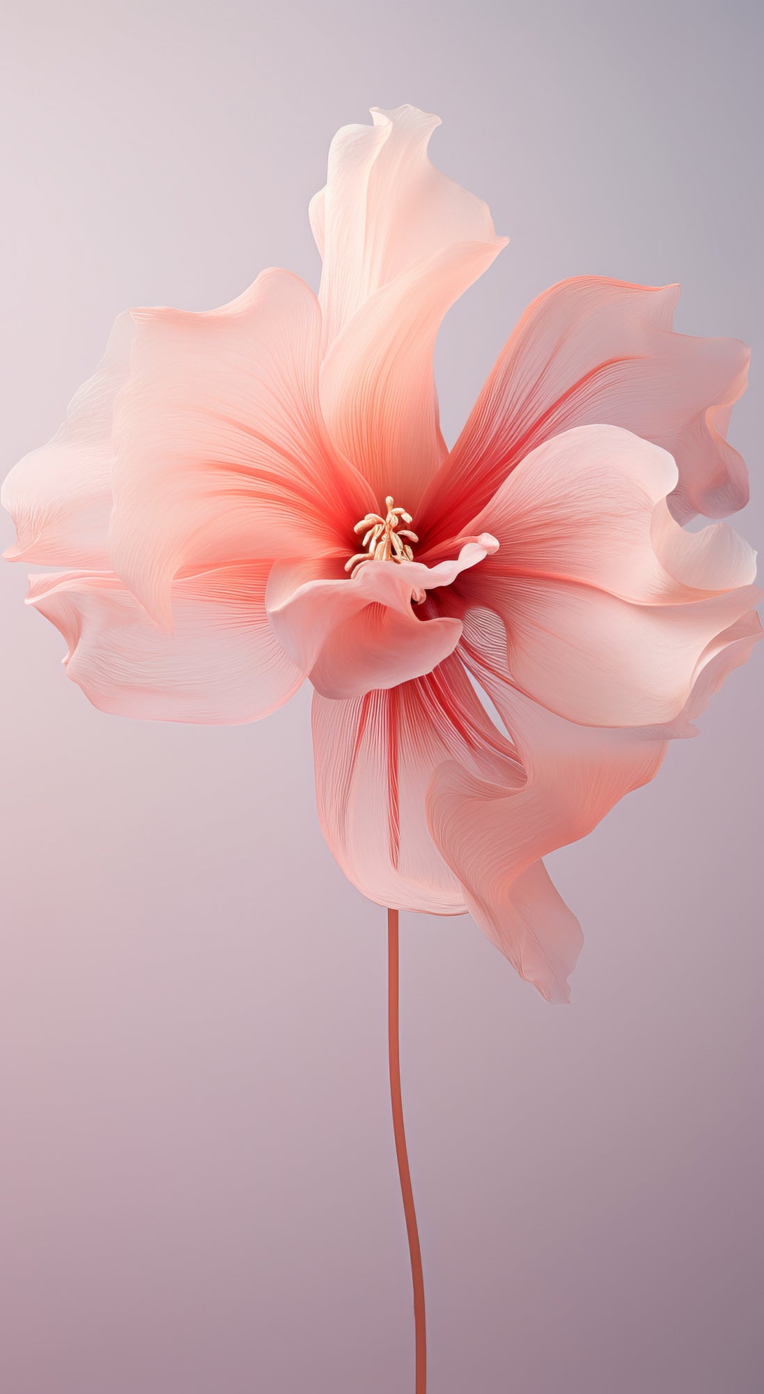 Delicate Flowers 4 Poster och Canvastavla