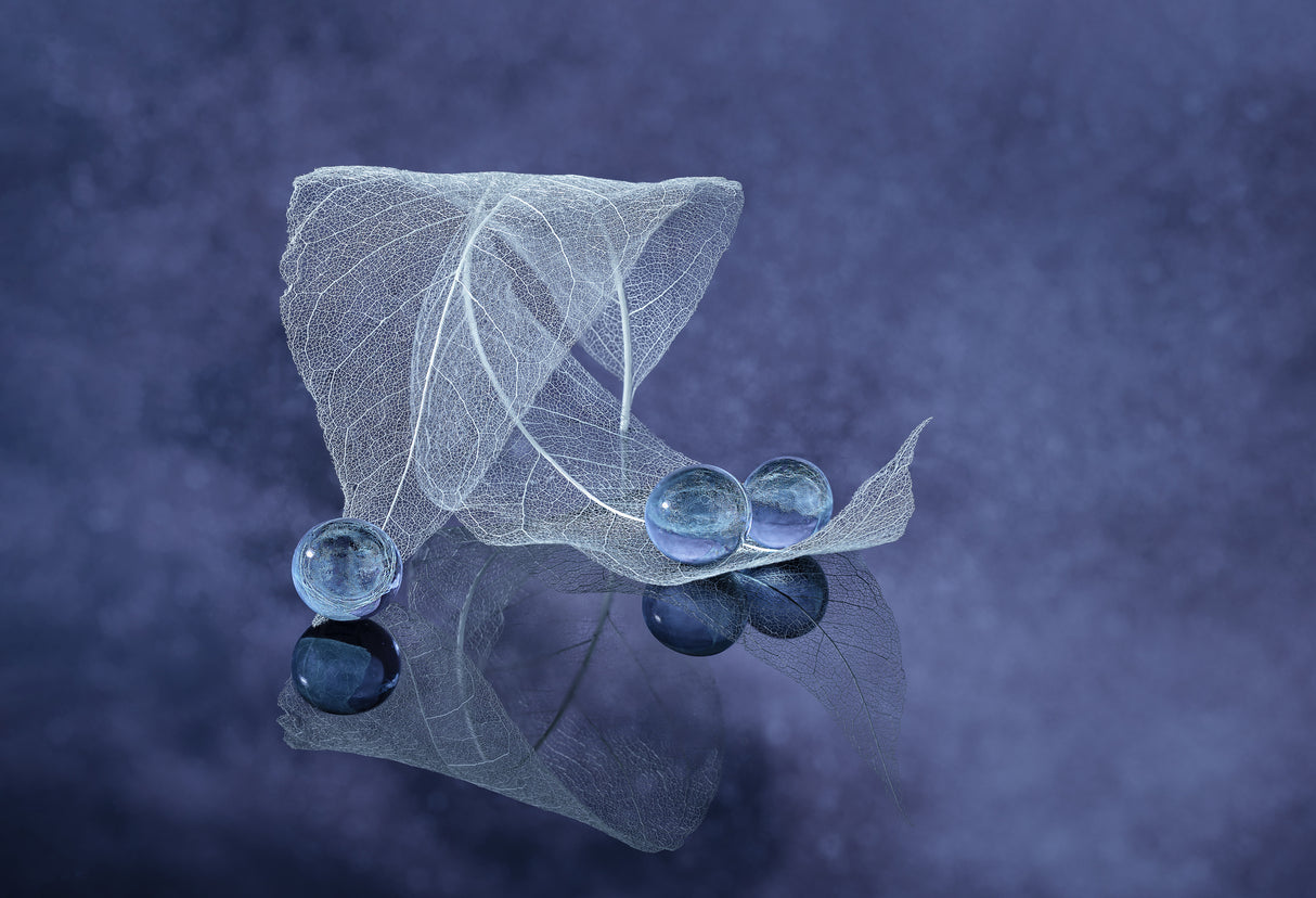 Blue Ice Poster och Canvastavla