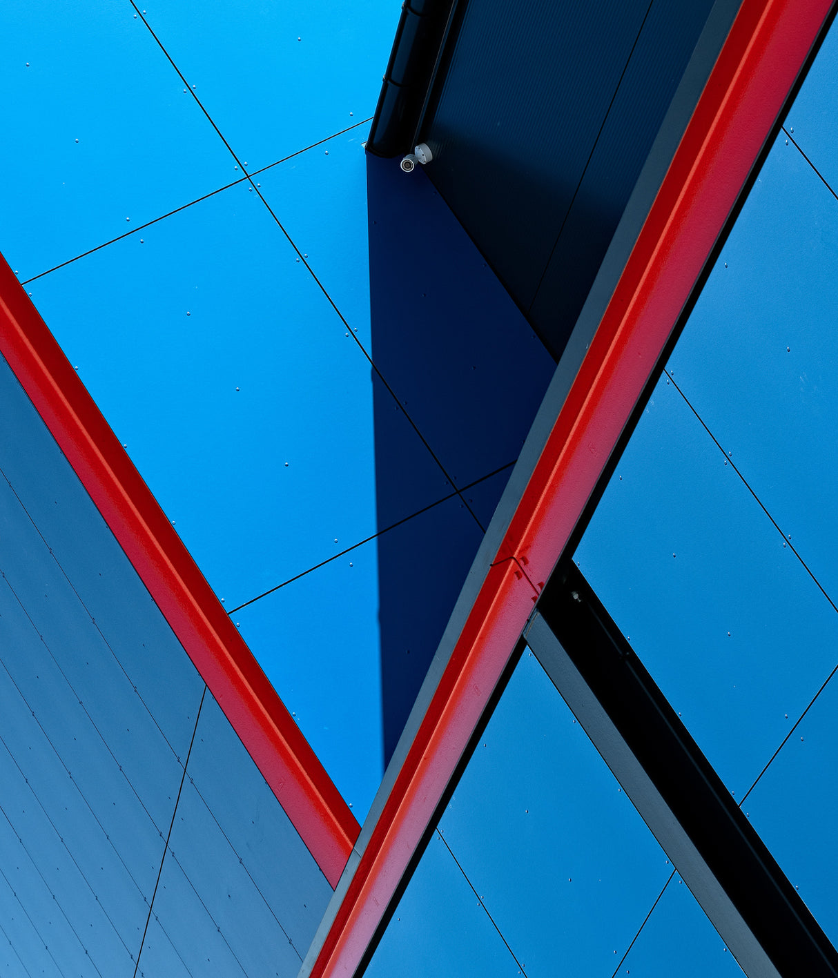 Y - blue Poster och Canvastavla