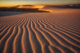 Golden Morning Poster och Canvastavla