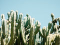 South of Spain Poster och Canvastavla