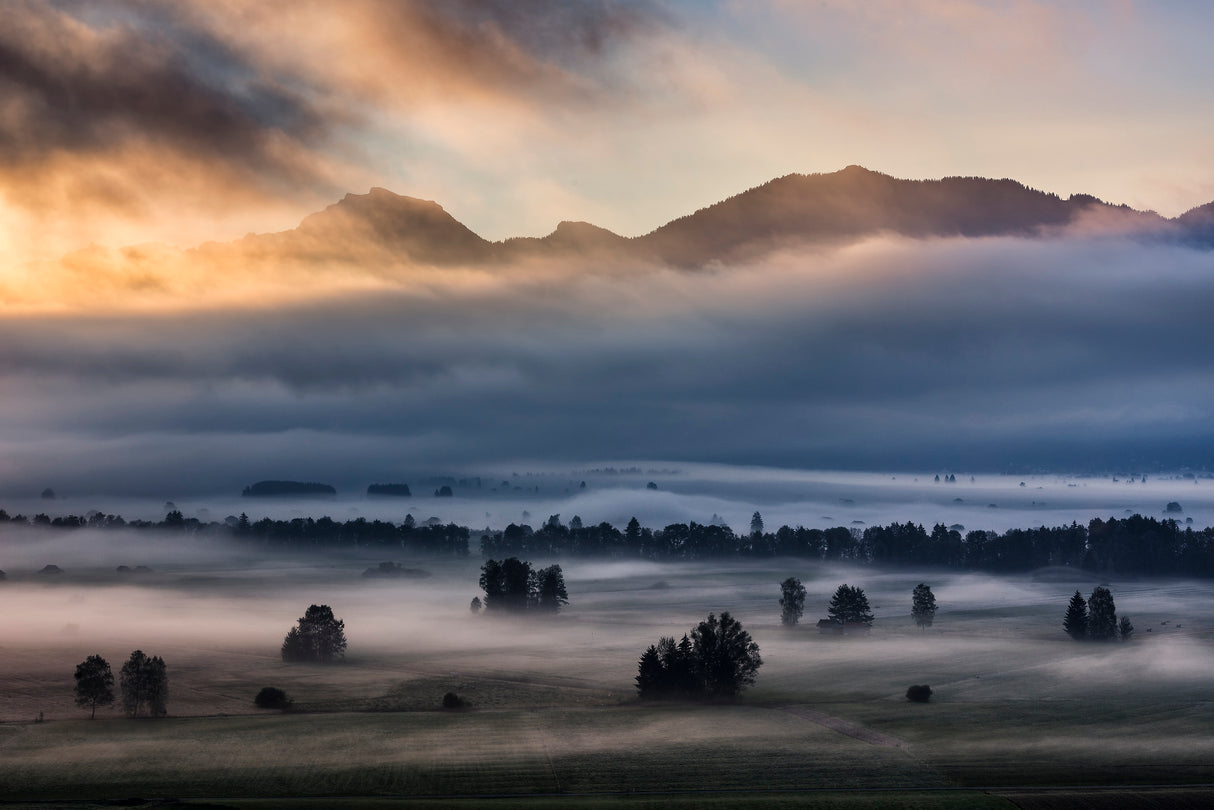 Autumn Morning... Poster och Canvastavla