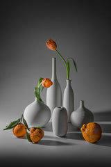 Tulip and Mandarin Orange Poster och Canvastavla