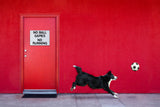 Chasing the Ball Poster och Canvastavla