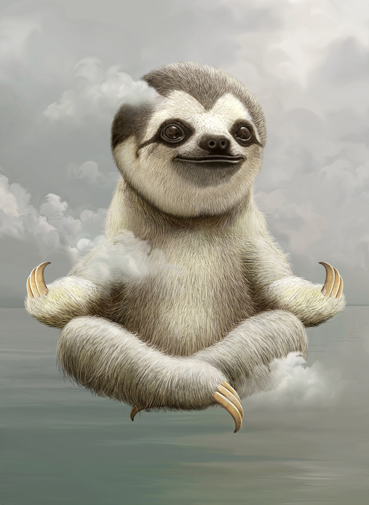 sloth meditating Poster och Canvastavla