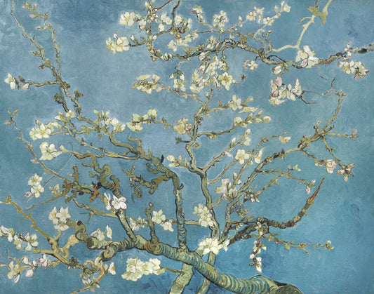 Vincent Van Gogh's Almond Blossom (1890) Poster och Canvastavla