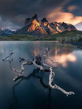 Torres del Paine Poster och Canvastavla