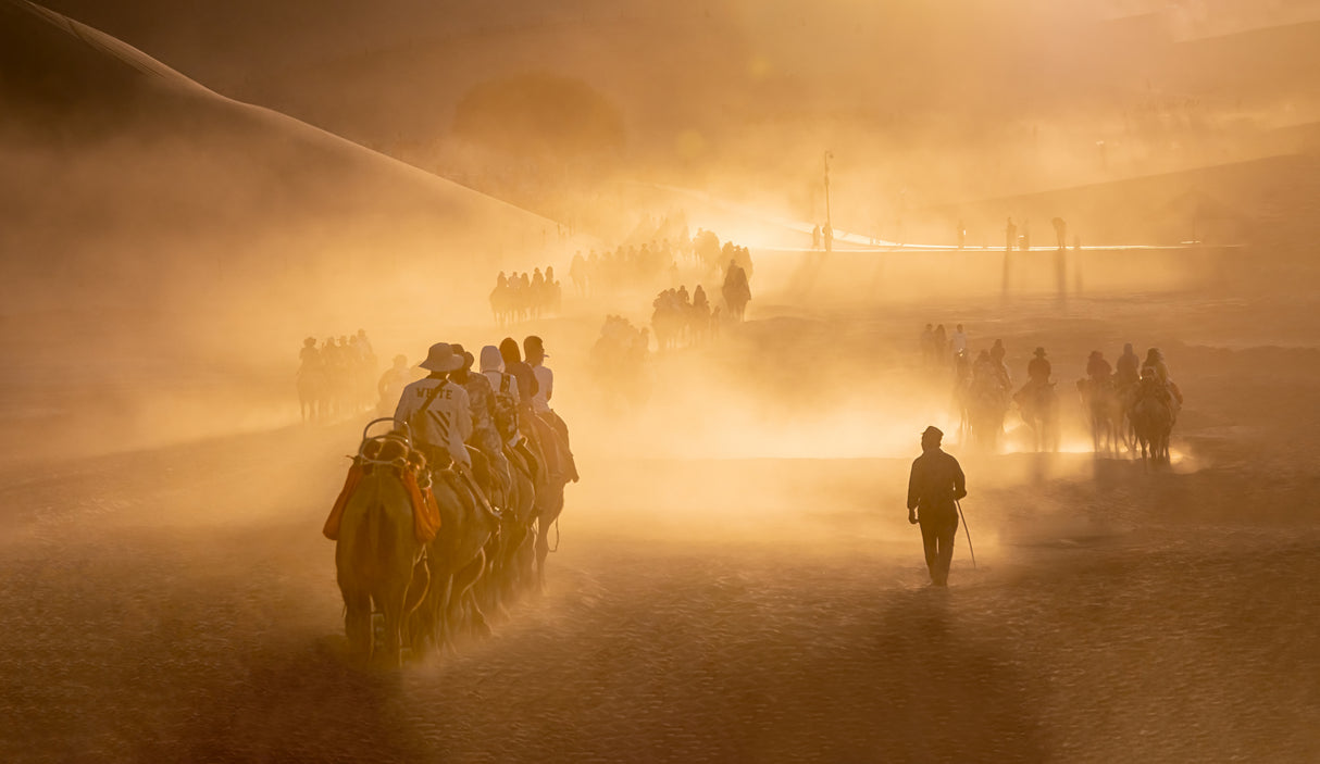 Camel Riding in the Gobi Desert (悠悠驼铃声） Poster och Canvastavla