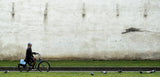 slow riding in Antwerp Poster och Canvastavla