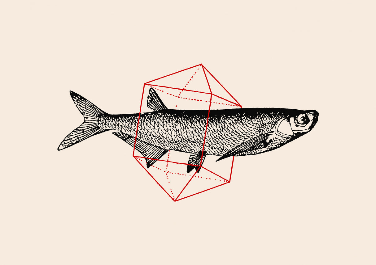Fish In Geometrics Nº2 Poster och Canvastavla