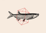 Fish In Geometrics Nº2 Poster och Canvastavla