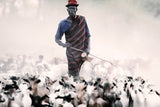 The herder Poster och Canvastavla