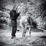 Vova and his donkey Poster och Canvastavla