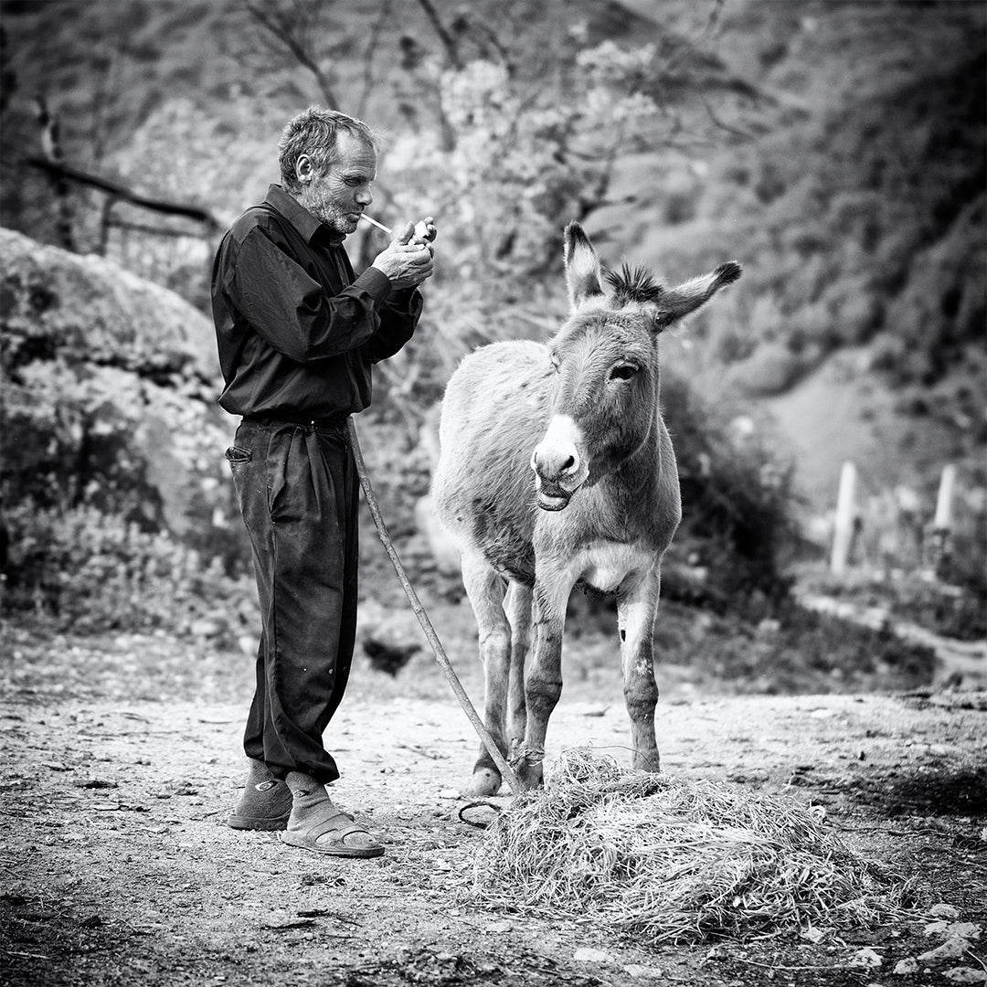 Vova and his donkey Poster och Canvastavla
