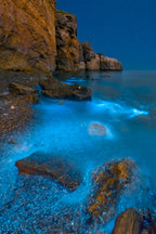 Bioluminescent Bay Poster och Canvastavla
