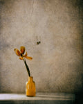 The Flower and The Bee Poster och Canvastavla