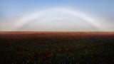 Fogbow Poster och Canvastavla