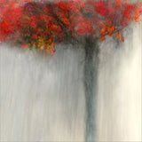 fiery autumn Poster och Canvastavla