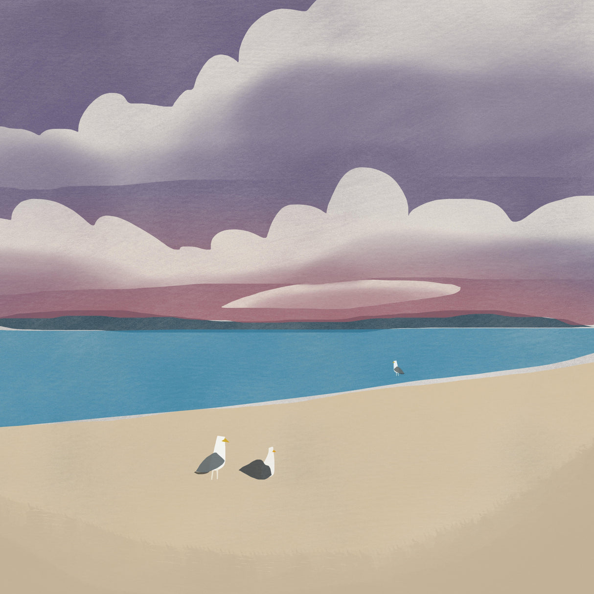 Three Seagulls Poster och Canvastavla