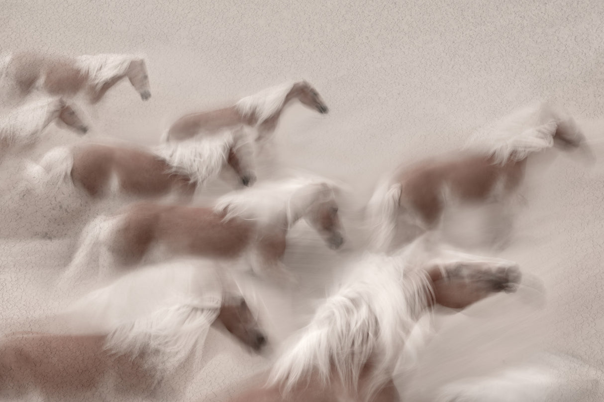 The foam of the wave Poster och Canvastavla