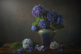 Hydrangea Poster och Canvastavla