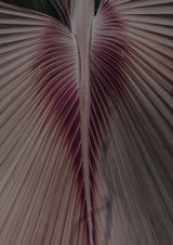 Love Palm Poster och Canvastavla