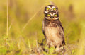 4 eyes! Poster och Canvastavla