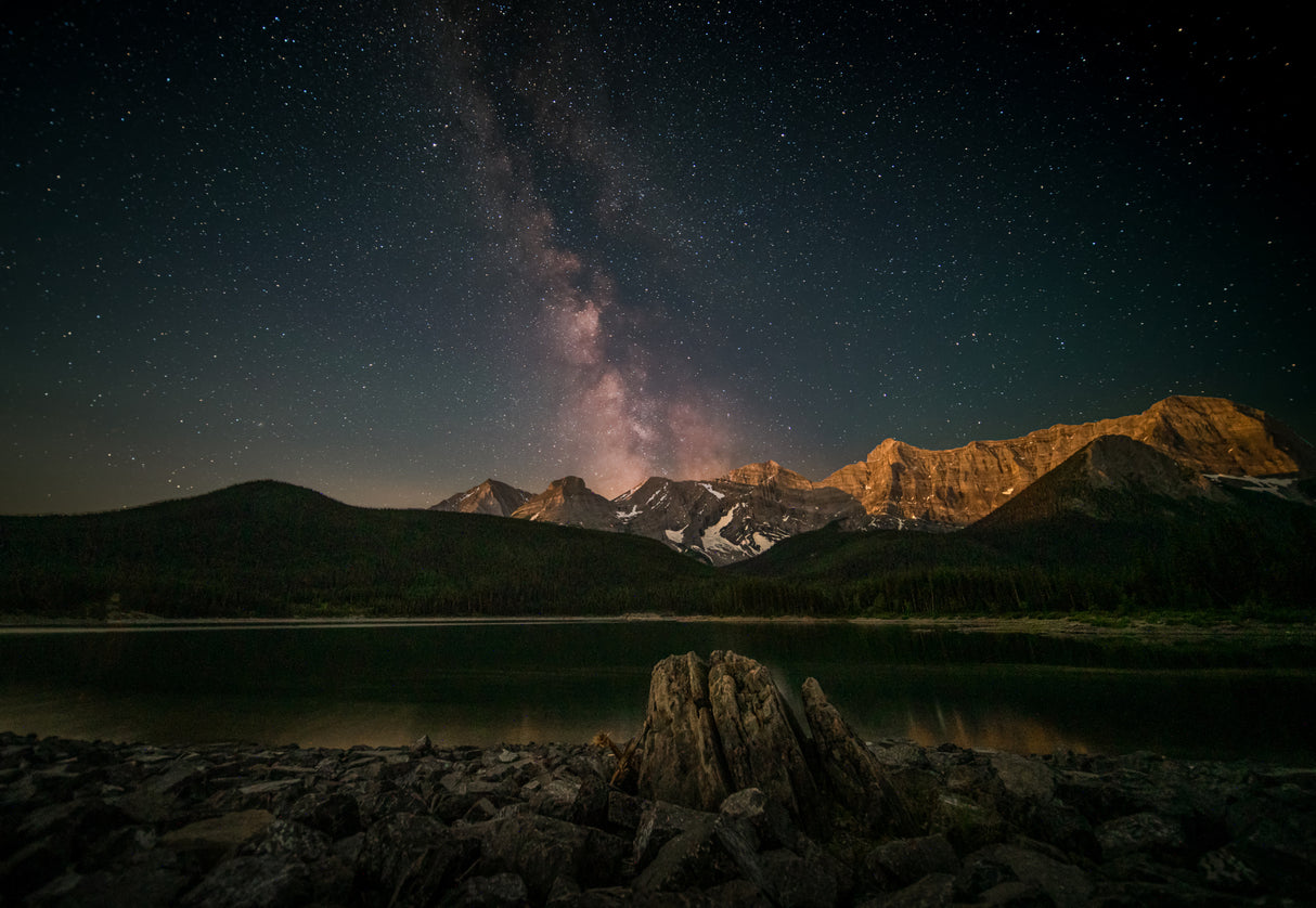 A starry night Poster och Canvastavla