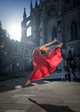 Red Skirt Elegance Poster och Canvastavla
