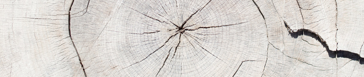 Texture 05 Poster och Canvastavla
