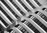 Curves Poster och Canvastavla