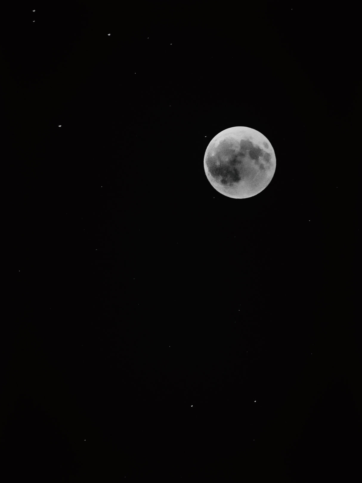 luna Poster och Canvastavla