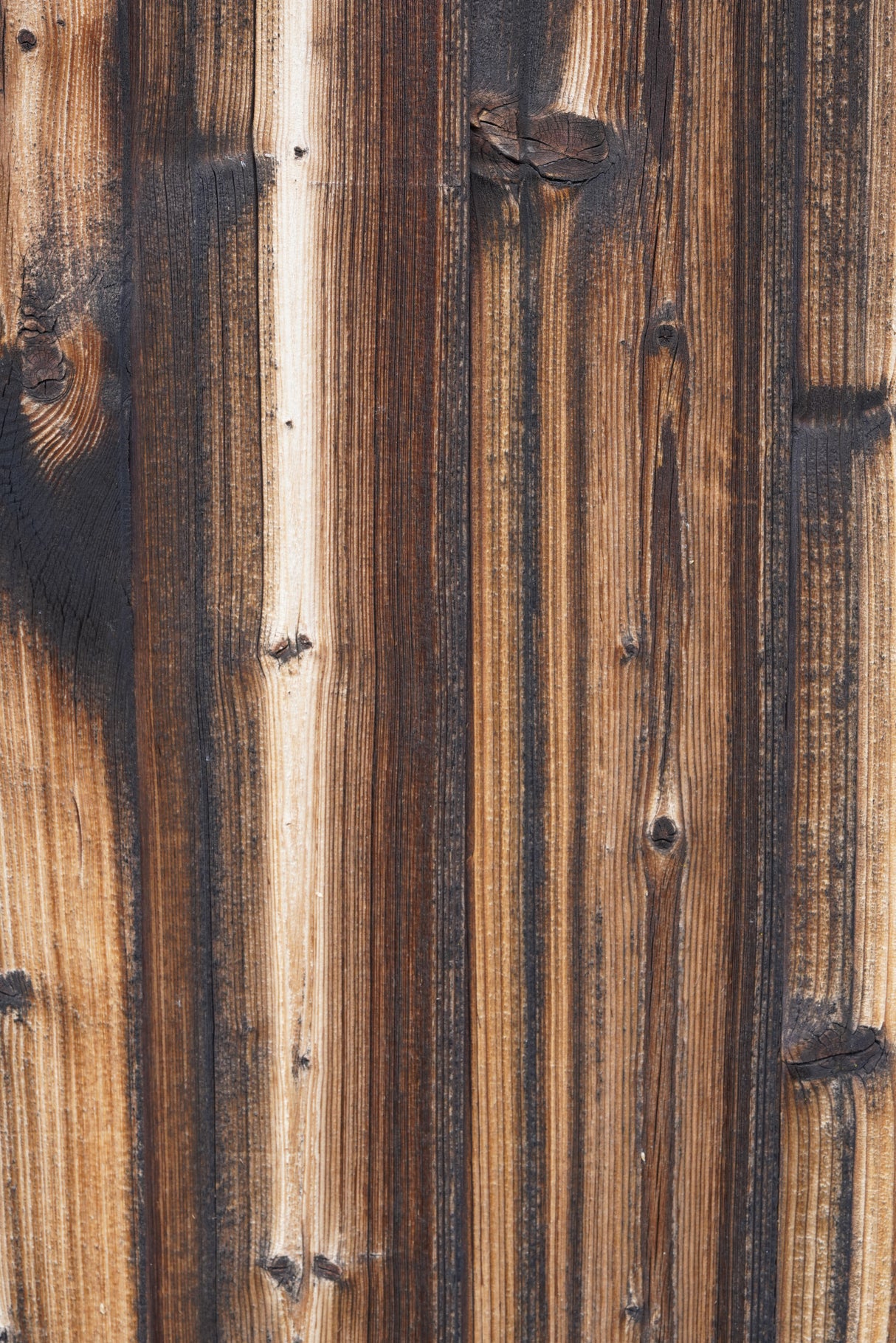 Tex Surface Wood 8 Poster och Canvastavla
