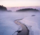 Winters mystique Poster och Canvastavla