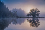 Autumn Impression Poster och Canvastavla