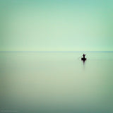 Echoes of Silence ... Poster och Canvastavla