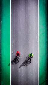 Bicycle day Poster och Canvastavla