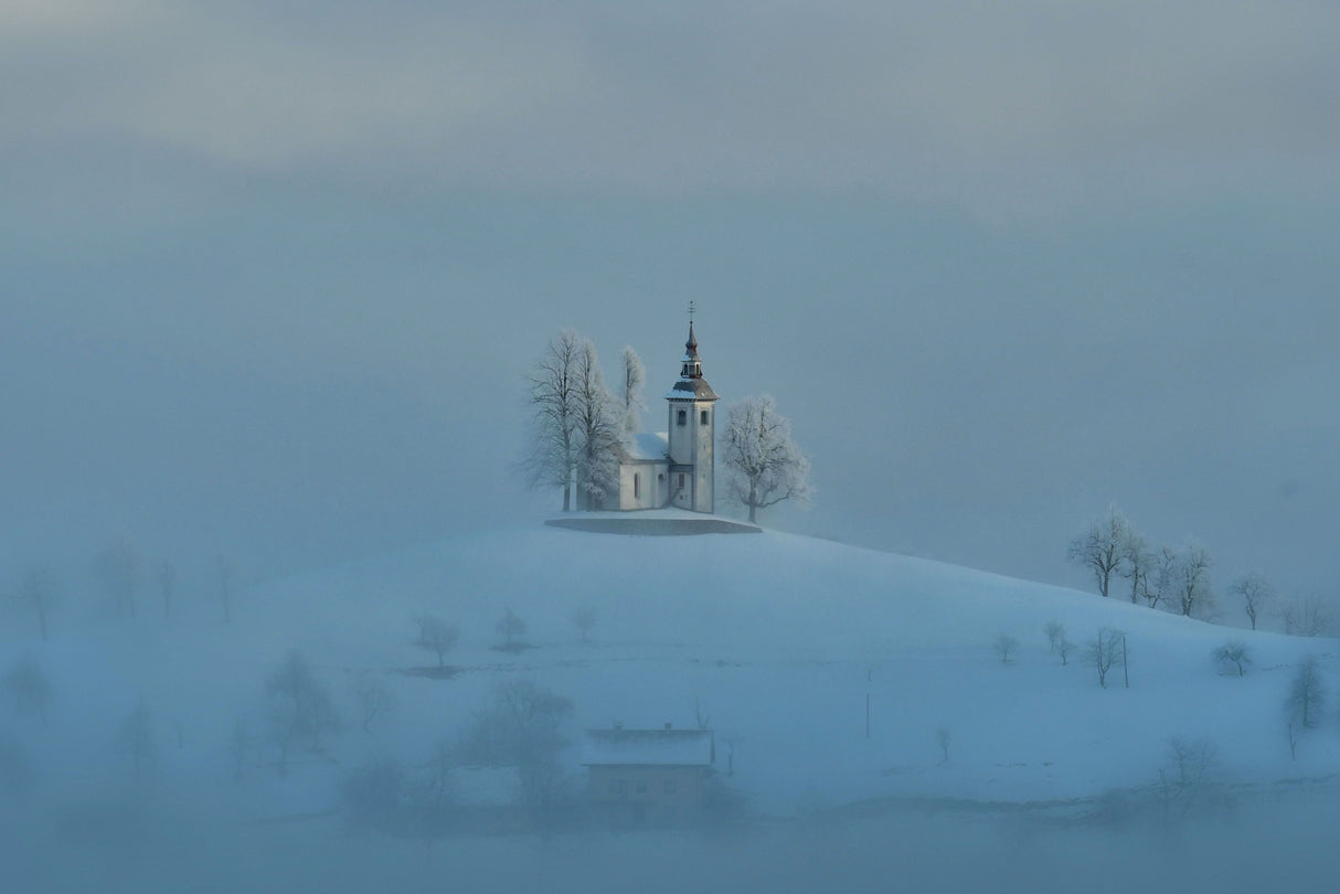 Winter white Poster och Canvastavla