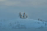 Winter white Poster och Canvastavla