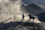 The Horseman Poster och Canvastavla