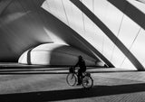 The cyclist and the lines Poster och Canvastavla