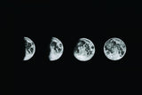 Lunar Phases Poster och Canvastavla