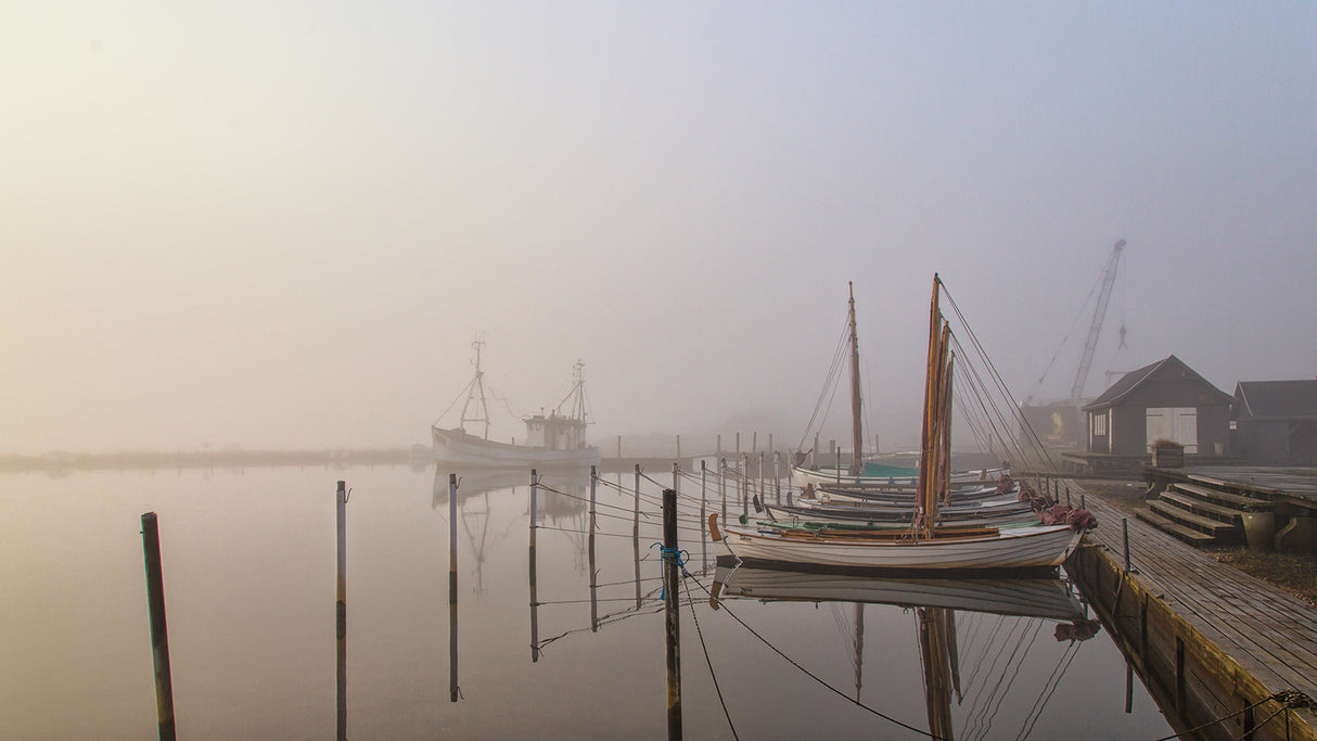 Morning mood at the harbor. Poster och Canvastavla