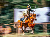 Yabusame Poster och Canvastavla