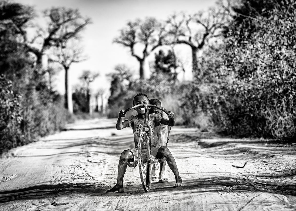 Having fun among baobabs Poster och Canvastavla